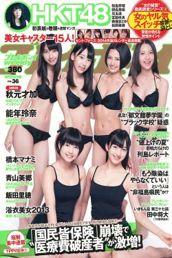 高鑫磊