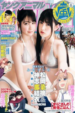破密电视剧40集免费观看全集