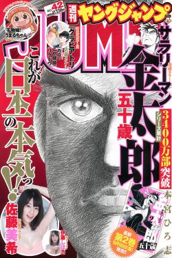 新乱世佳人演员表